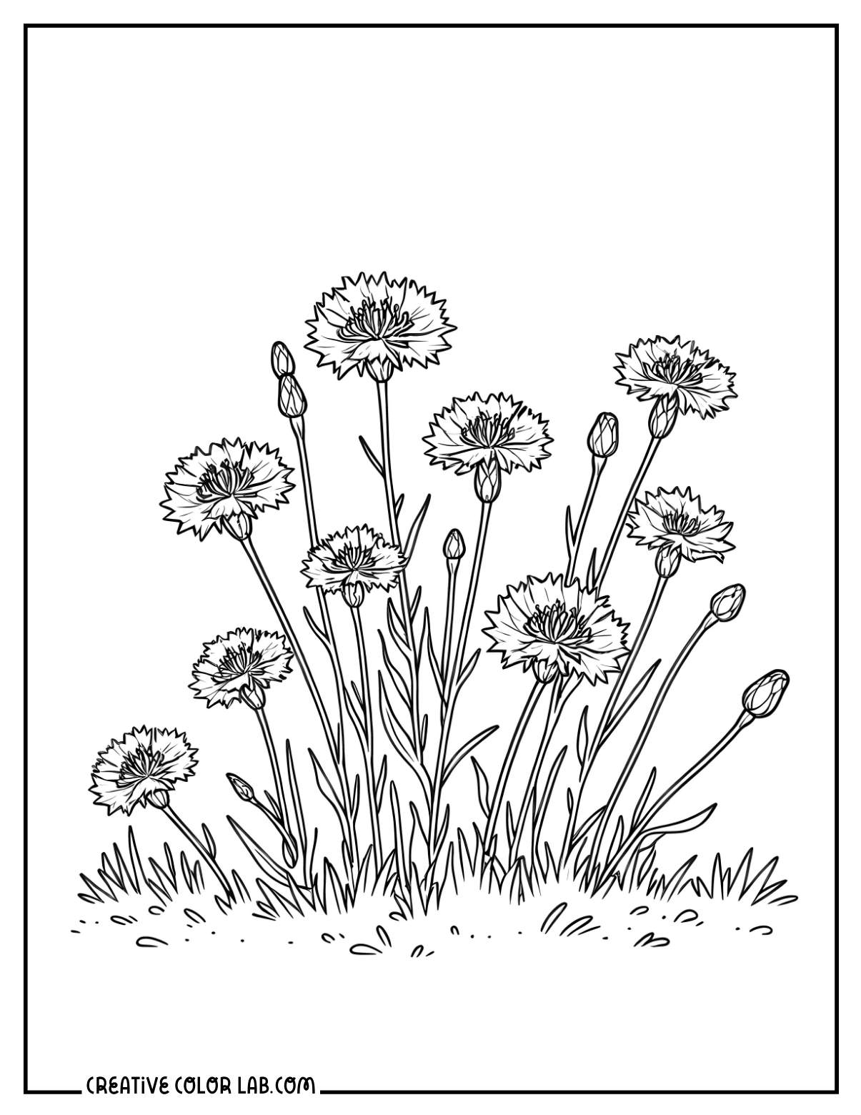 37 Free Flower Coloring Pages Printable PDFs