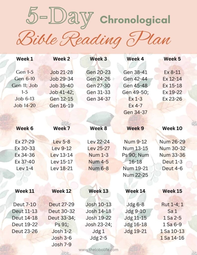 5 Day Bible Reading Plan Chronological Or Traditional 5 Day Bible Reading Plan Chronological Or Traditional