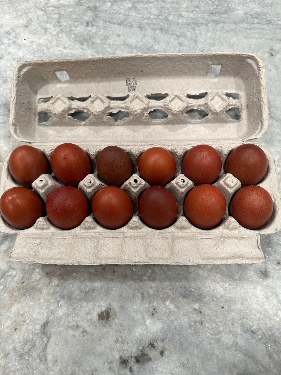  French Black Copper Maran Fertile Hatching Eggs RARE Unique Beautiful Dark EBay