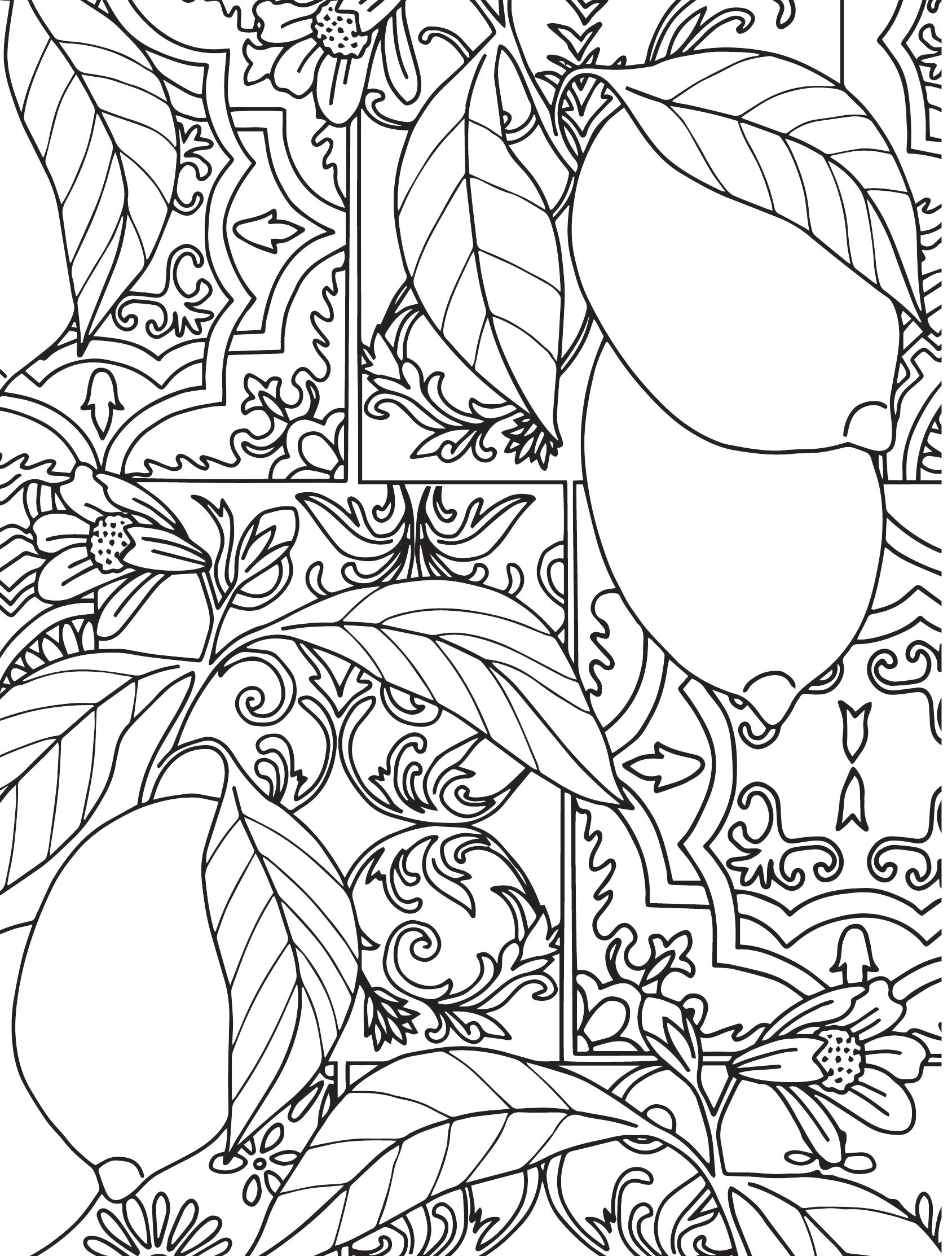 free coloring pages for adults printable