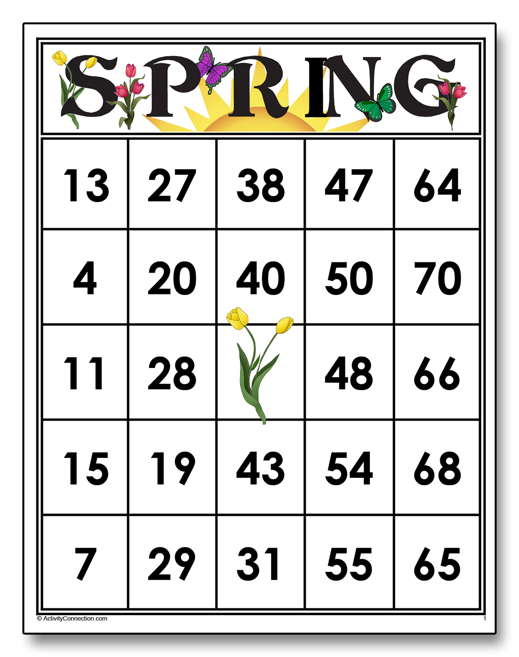 SPRING Bingo Cards Printable Activity Connection