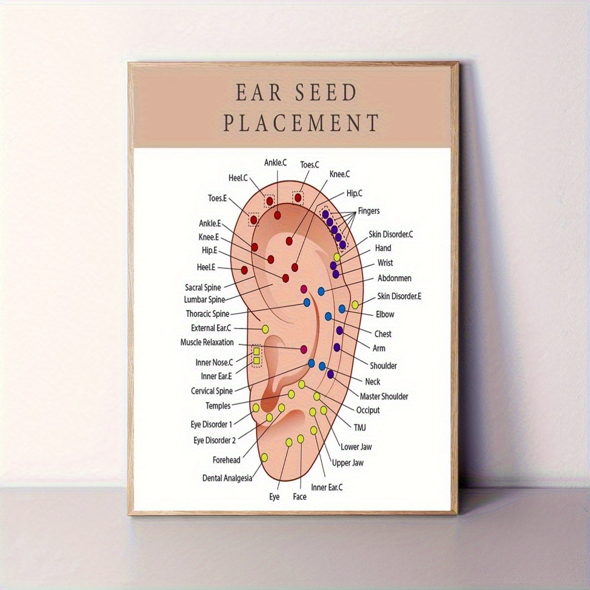 printable ear seed placement chart