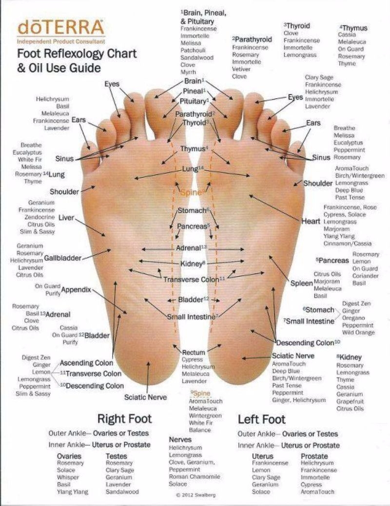 31 Printable Foot Reflexology Charts Maps TemplateLab