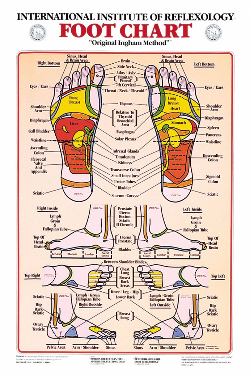 31 Printable Foot Reflexology Charts Maps TemplateLab