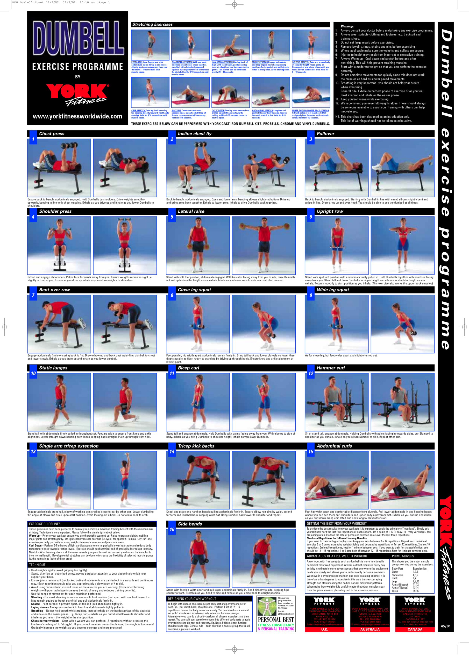 pdf printable free dumbbell workout chart
