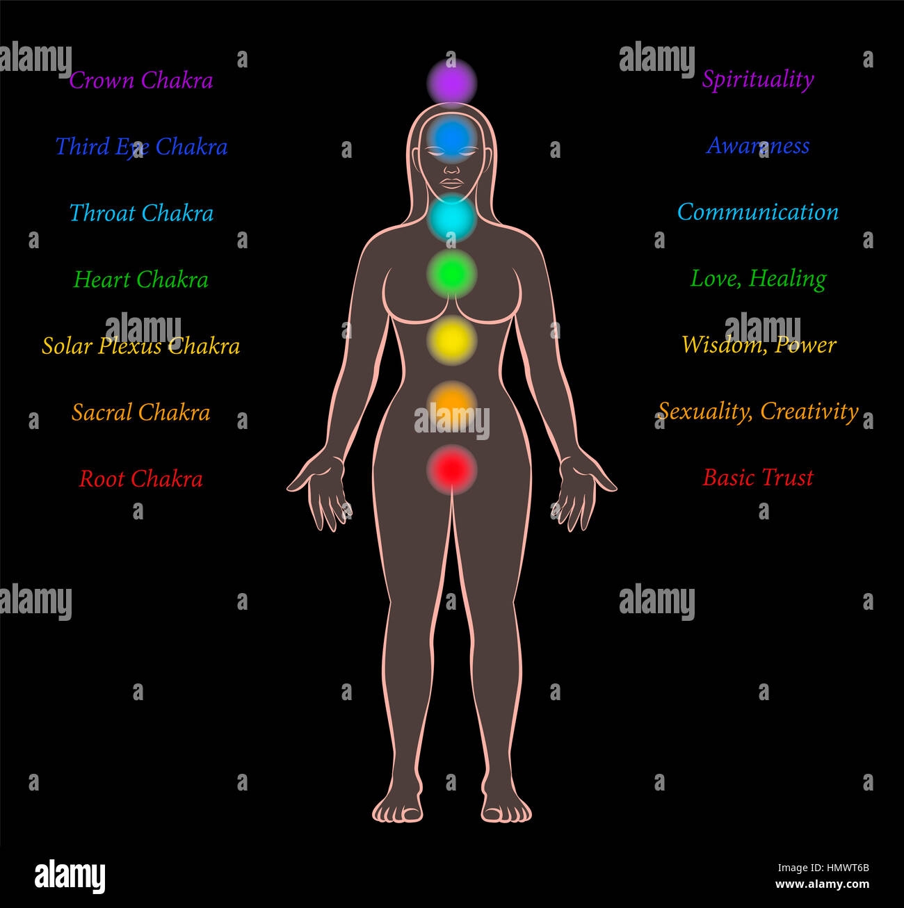 printable 12 meridians chart