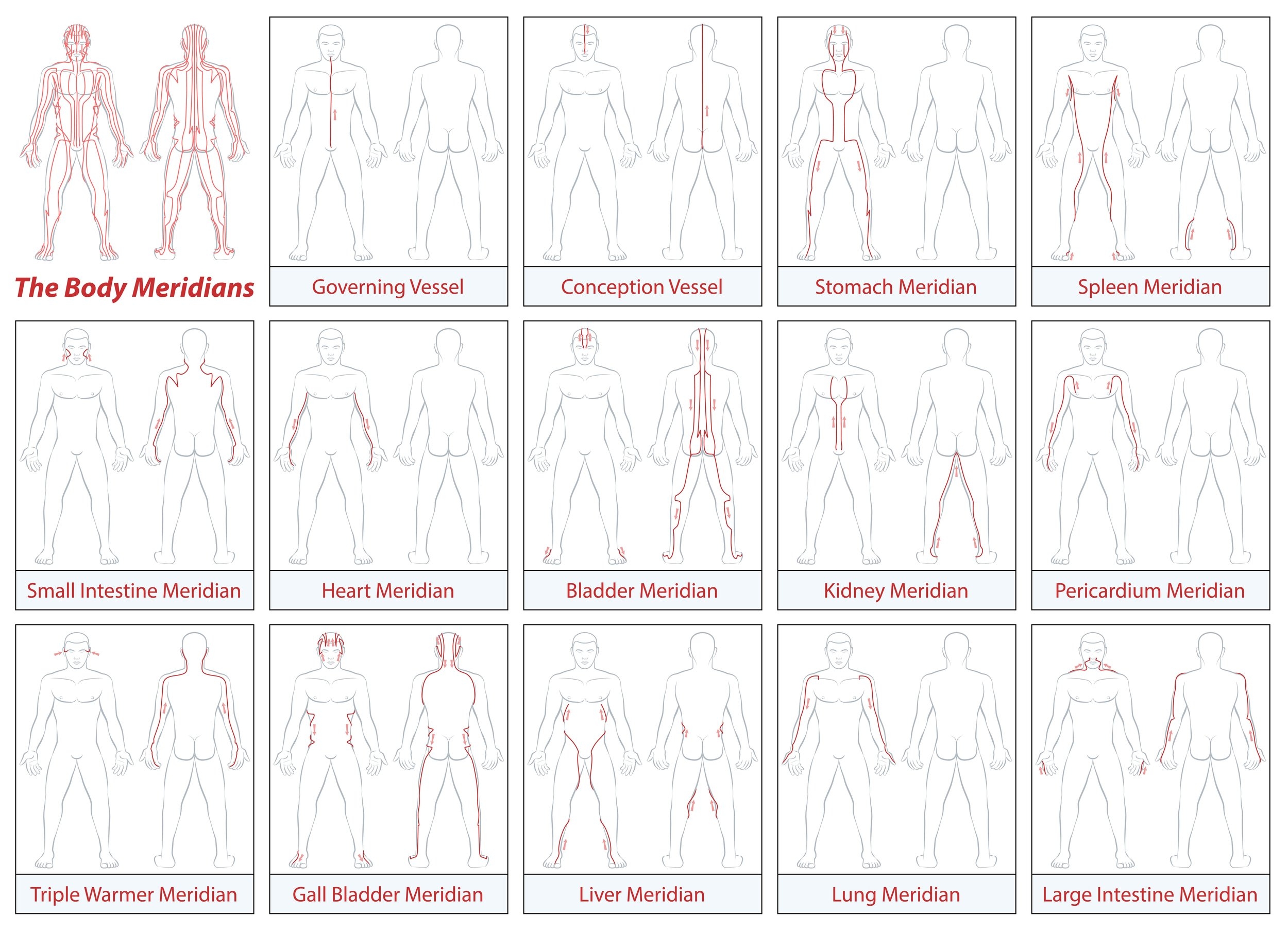 Acupuncture Meridian Pathways Morningside Acupuncture NYC
