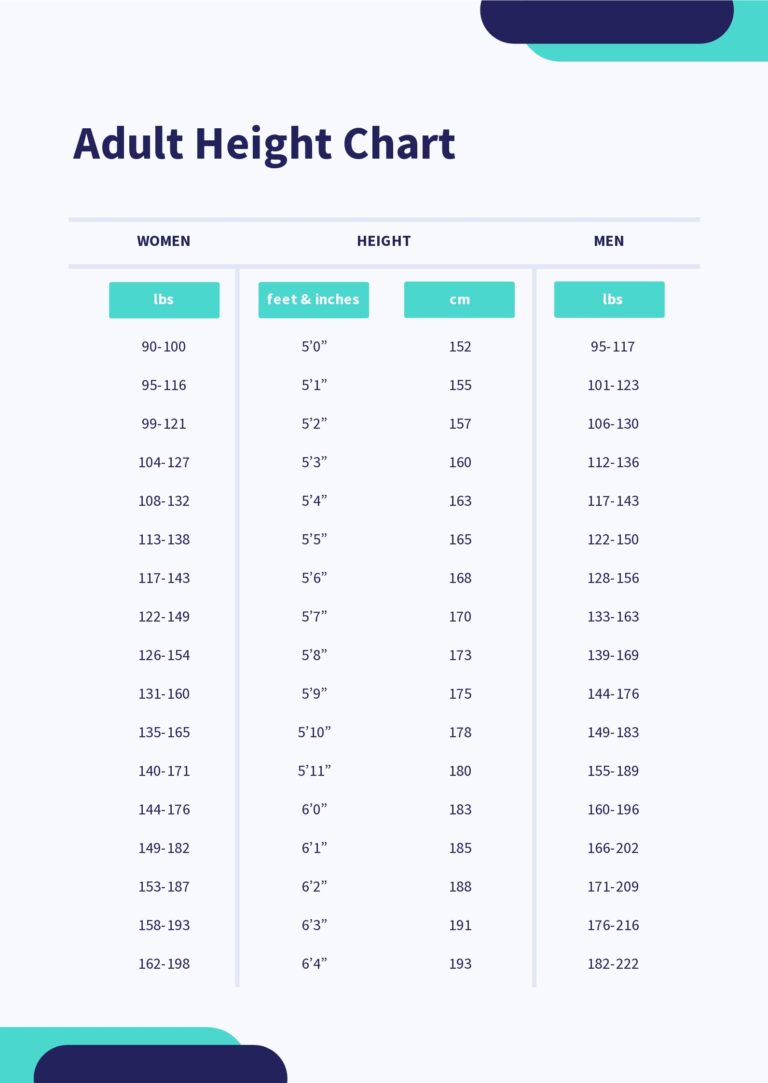 Adult Height Chart In PDF Download Template