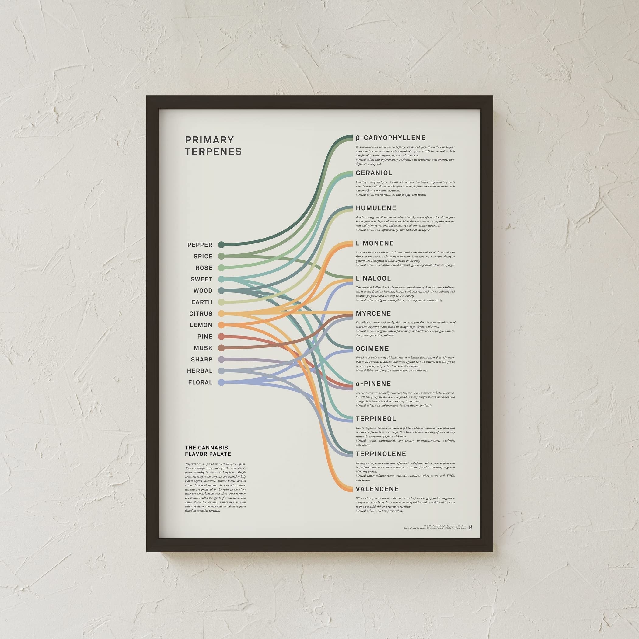 printable terpene chart