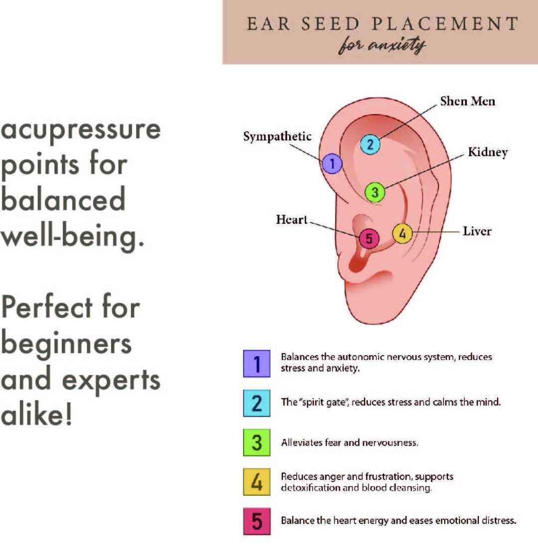 Anxiety Ear Seed Placement Chart Comprehensive Acupuncture Ear Chart Guide Ear Seeding Chart Helps Place Ear Seeds Cheat Sheet Etsy