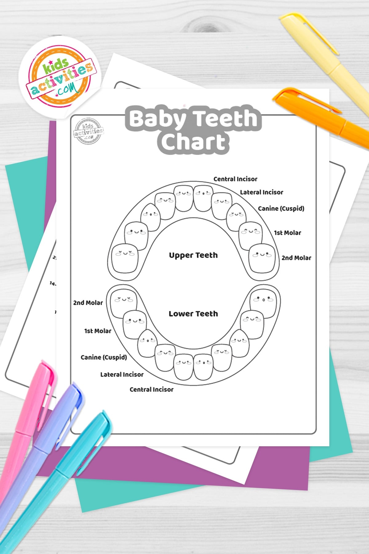 free printable tooth chart printable