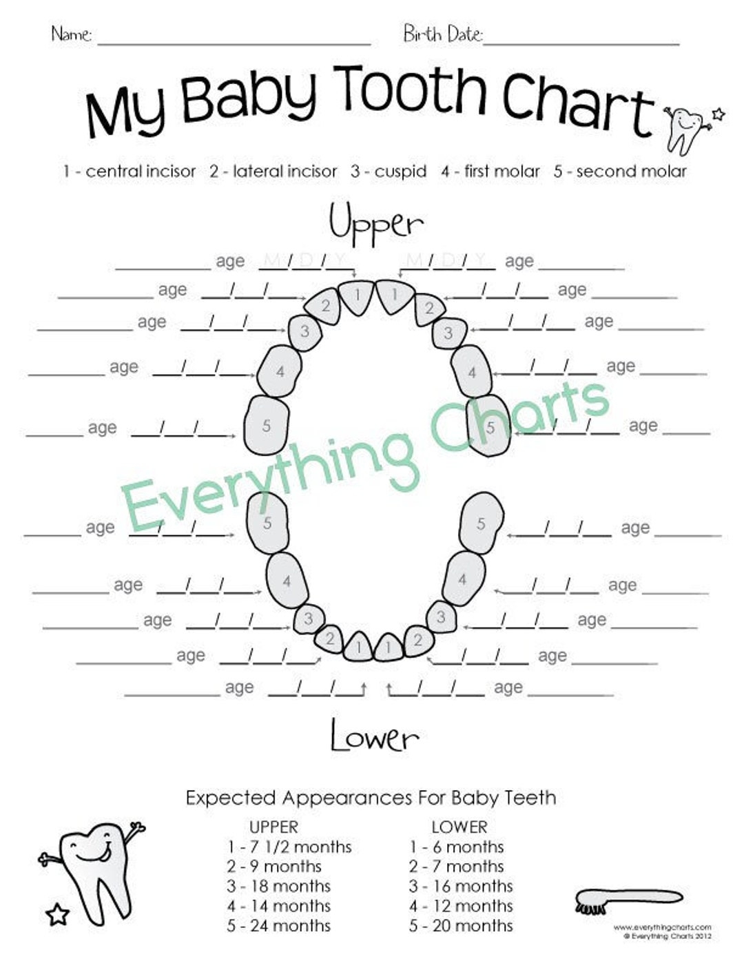 tooth chart printable