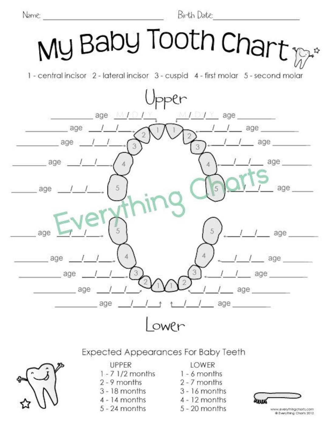teething chart printable
