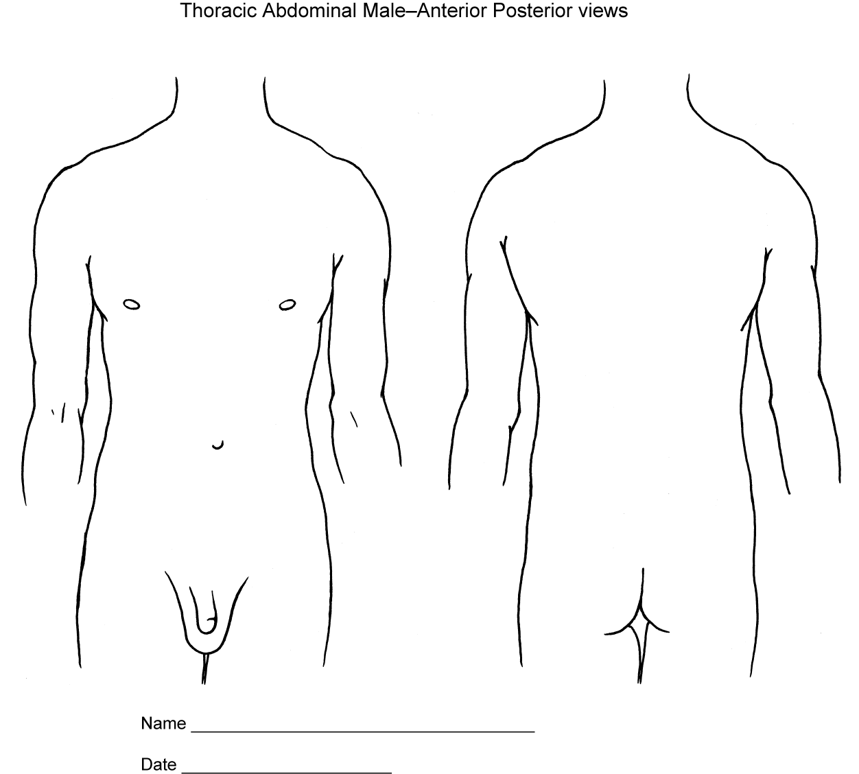 Body Diagrams Society Of Asylum Medicine