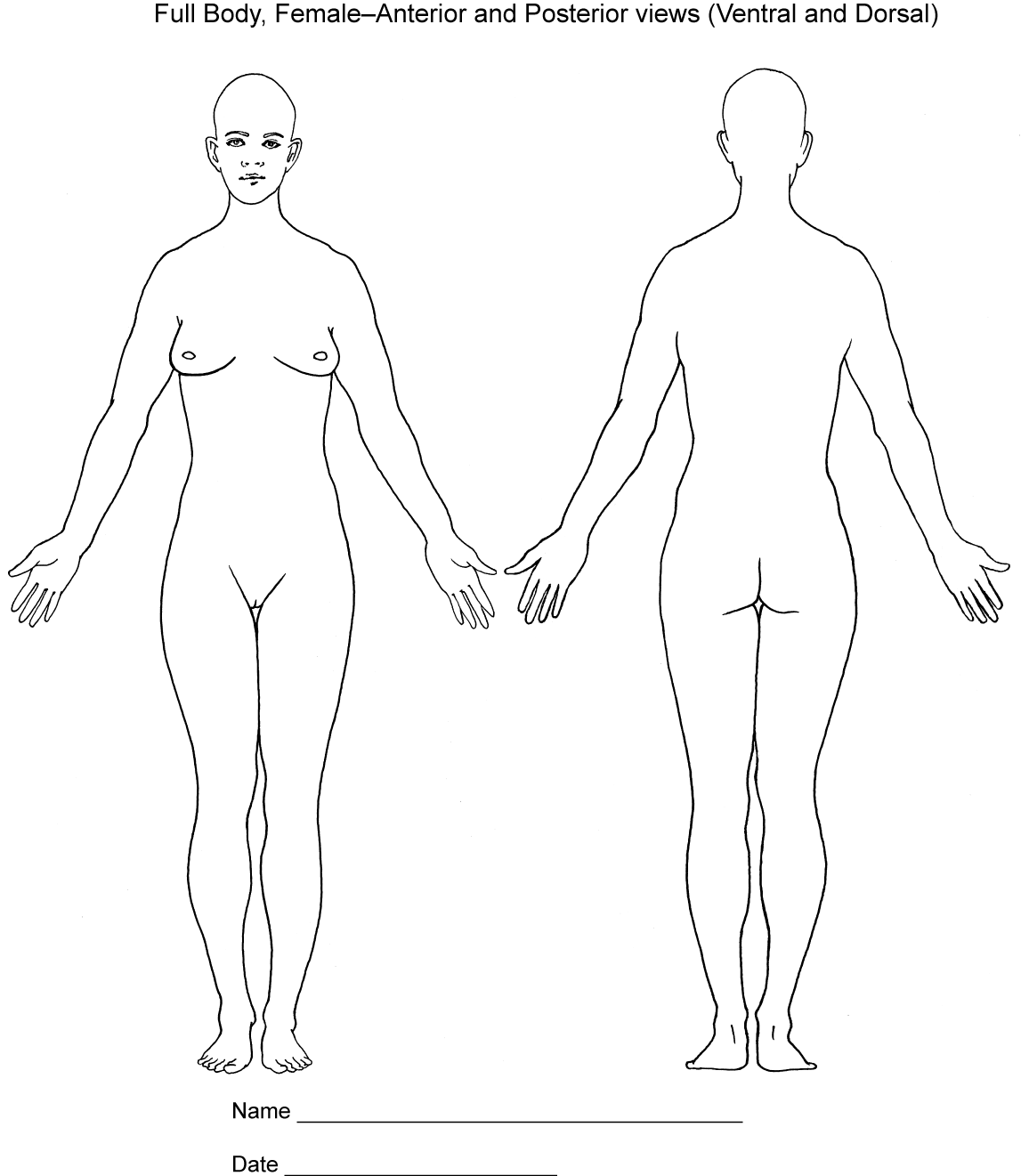 Body Diagrams Society Of Asylum Medicine