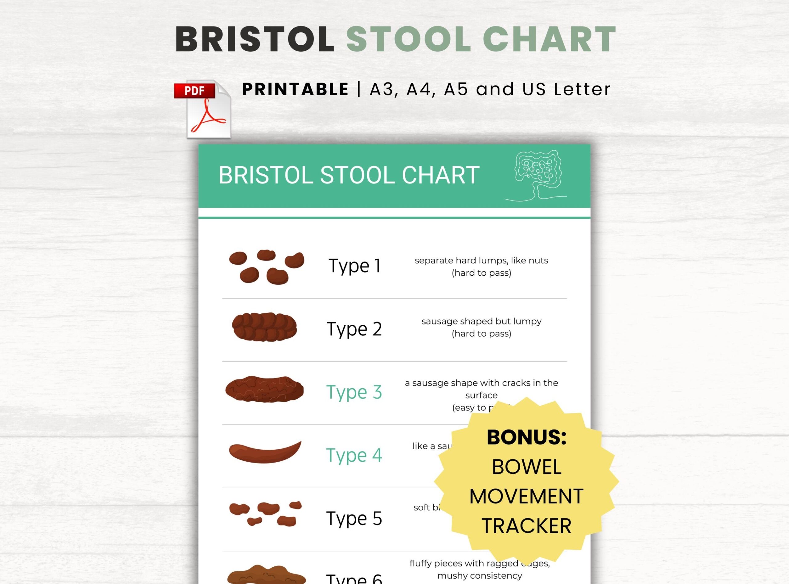 Bristol Stool Chart PDF Gut Health Tracker A3 A4 A5 US Letter Etsy New Zealand