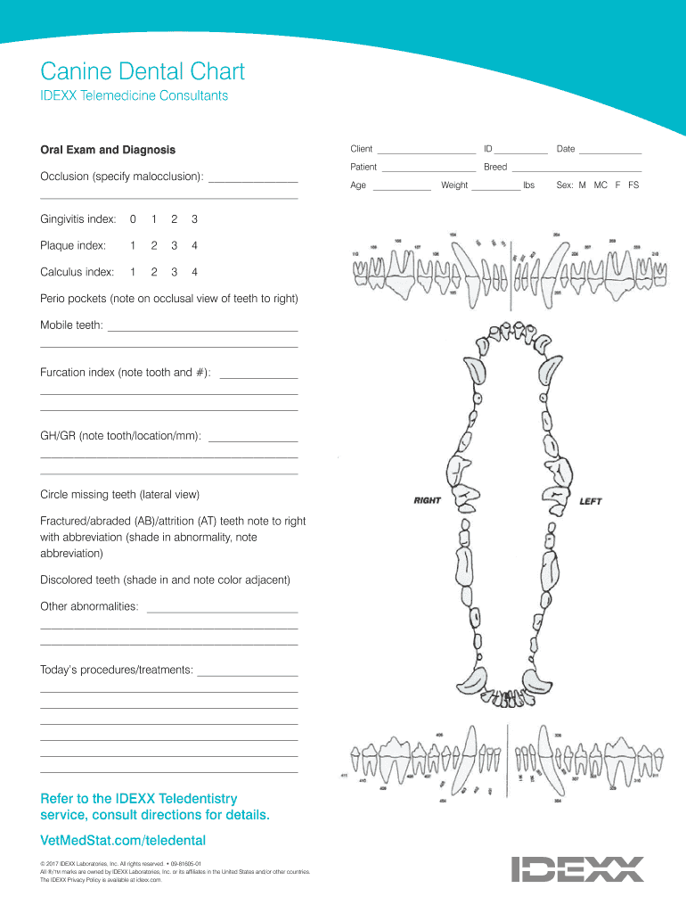 Canine Dental Chart Fill Out Sign Share Online PdfFiller