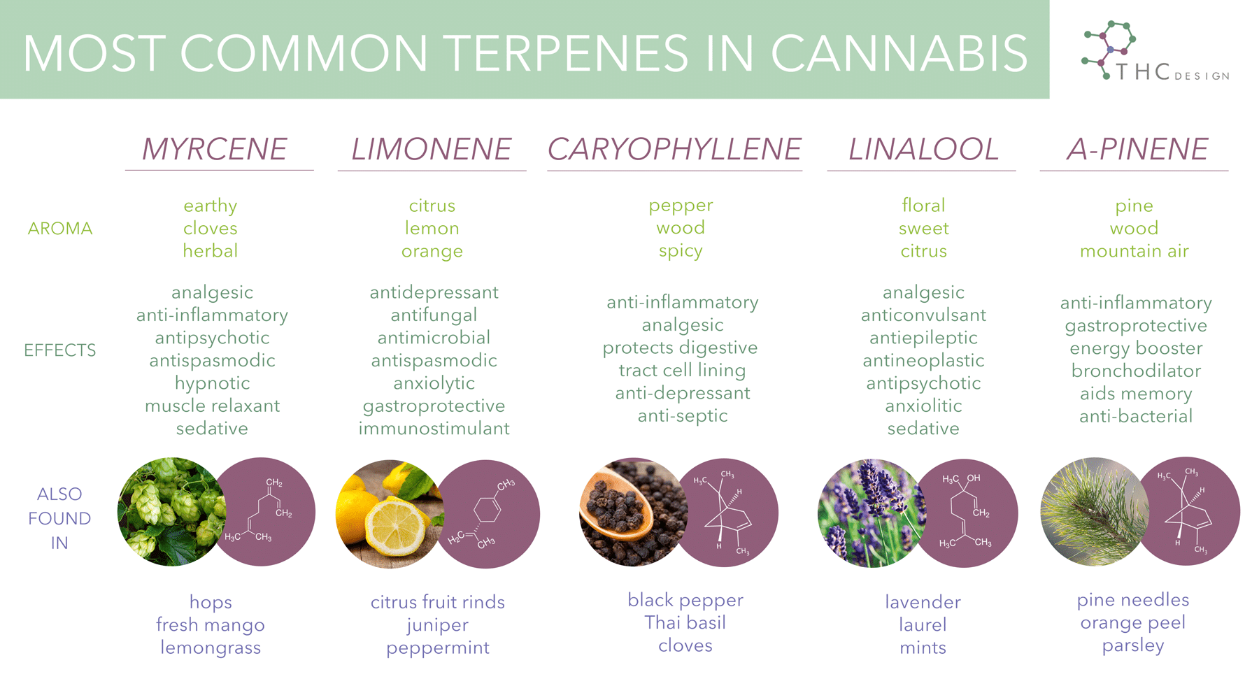 Cannabis Terpenes 101 Marijuana Terpene Chart THC Design