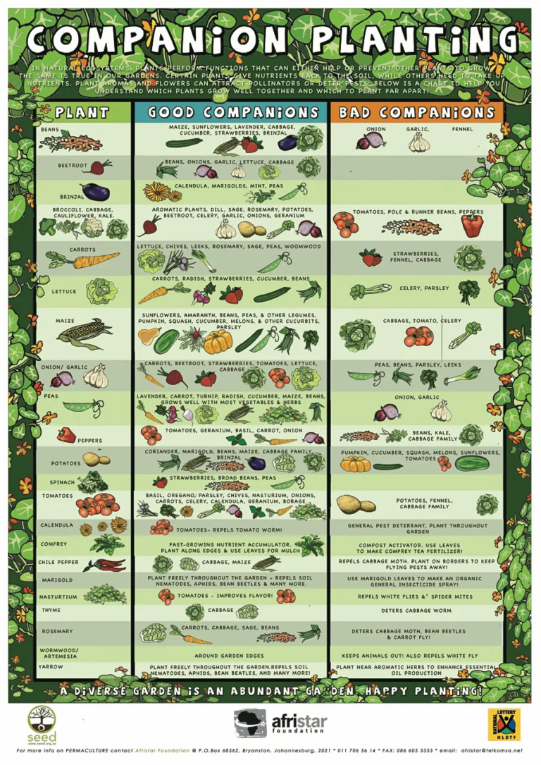 Collection Of Companion Planting Charts Guides And PDFs World Water Reserve