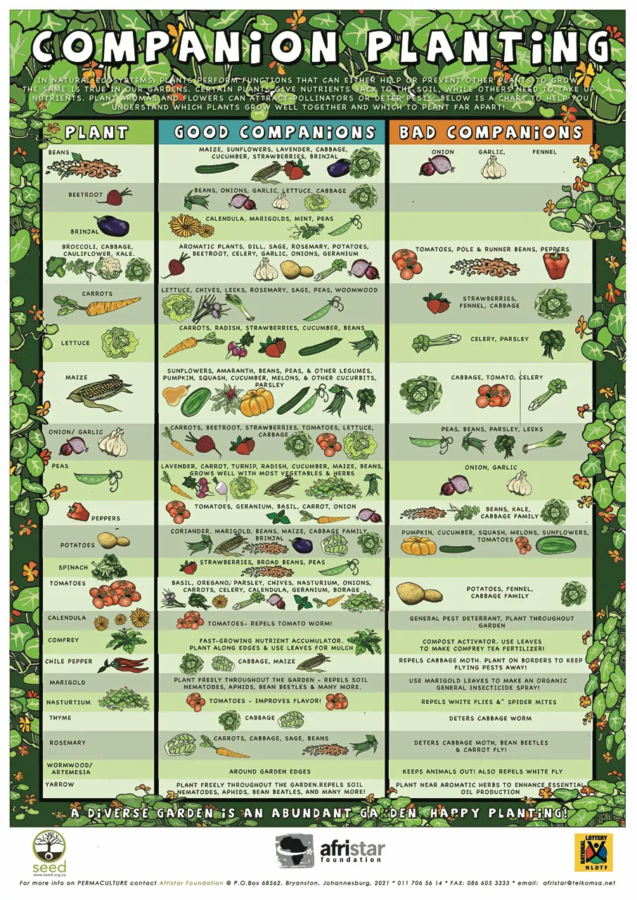 Collection Of Companion Planting Charts Guides And PDFs World Water Reserve