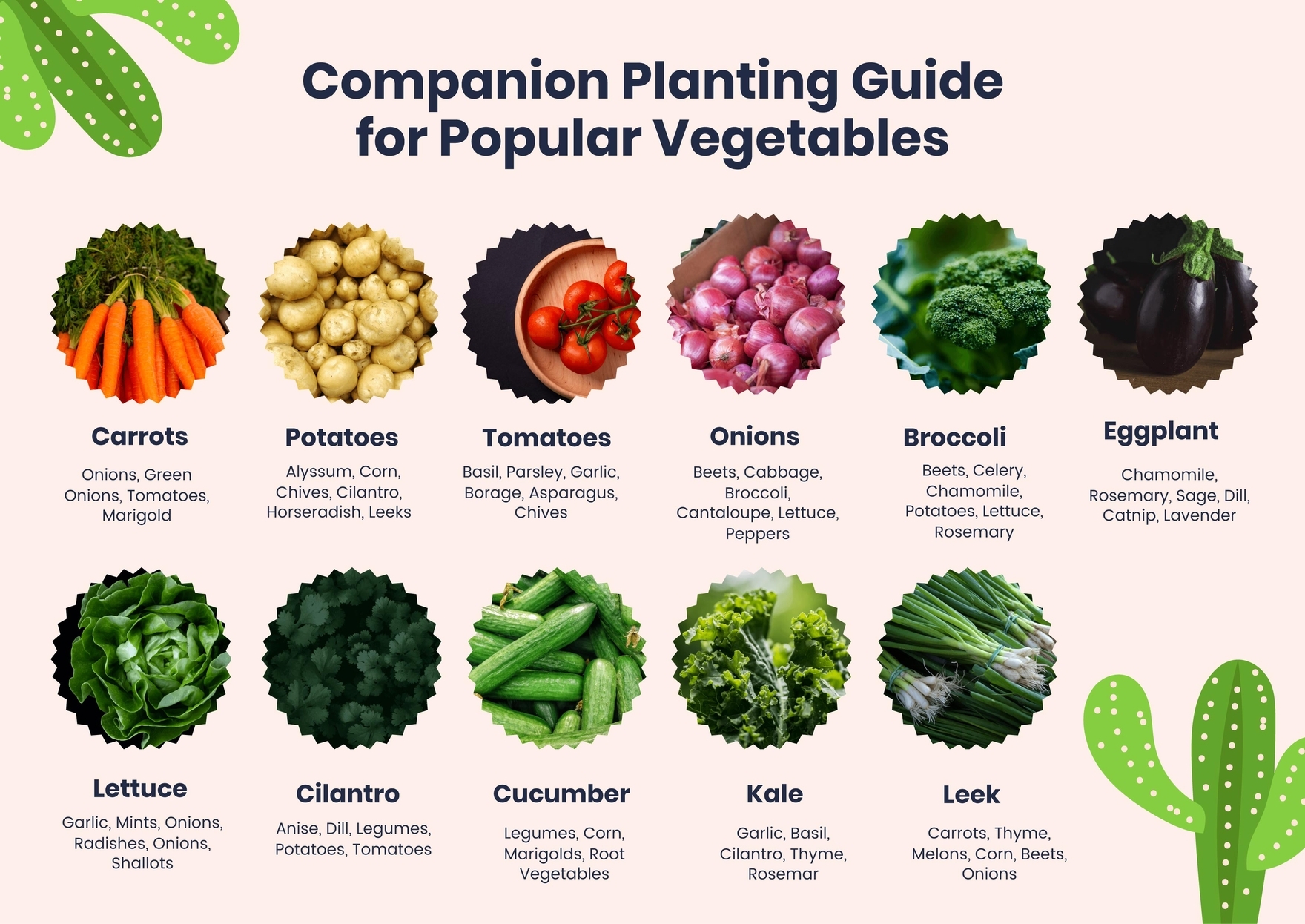 printable companion planting chart