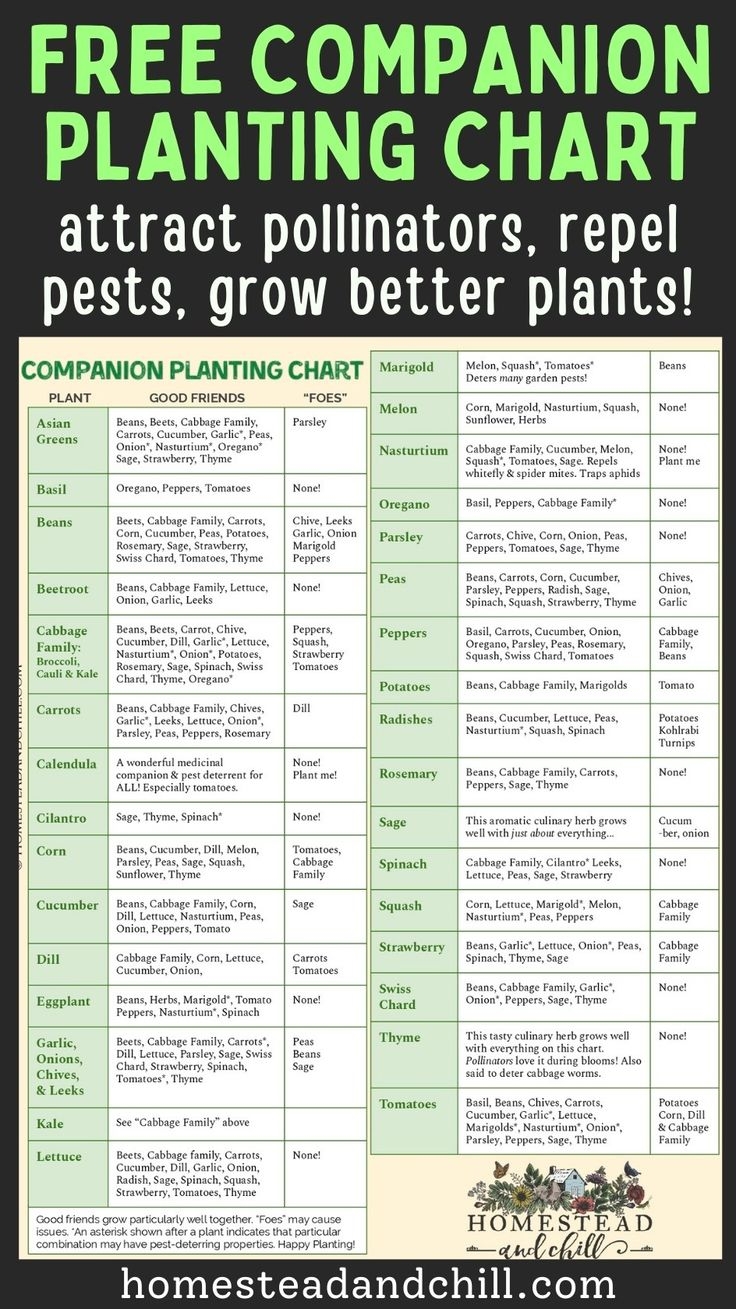 vegetable companion planting chart printable
