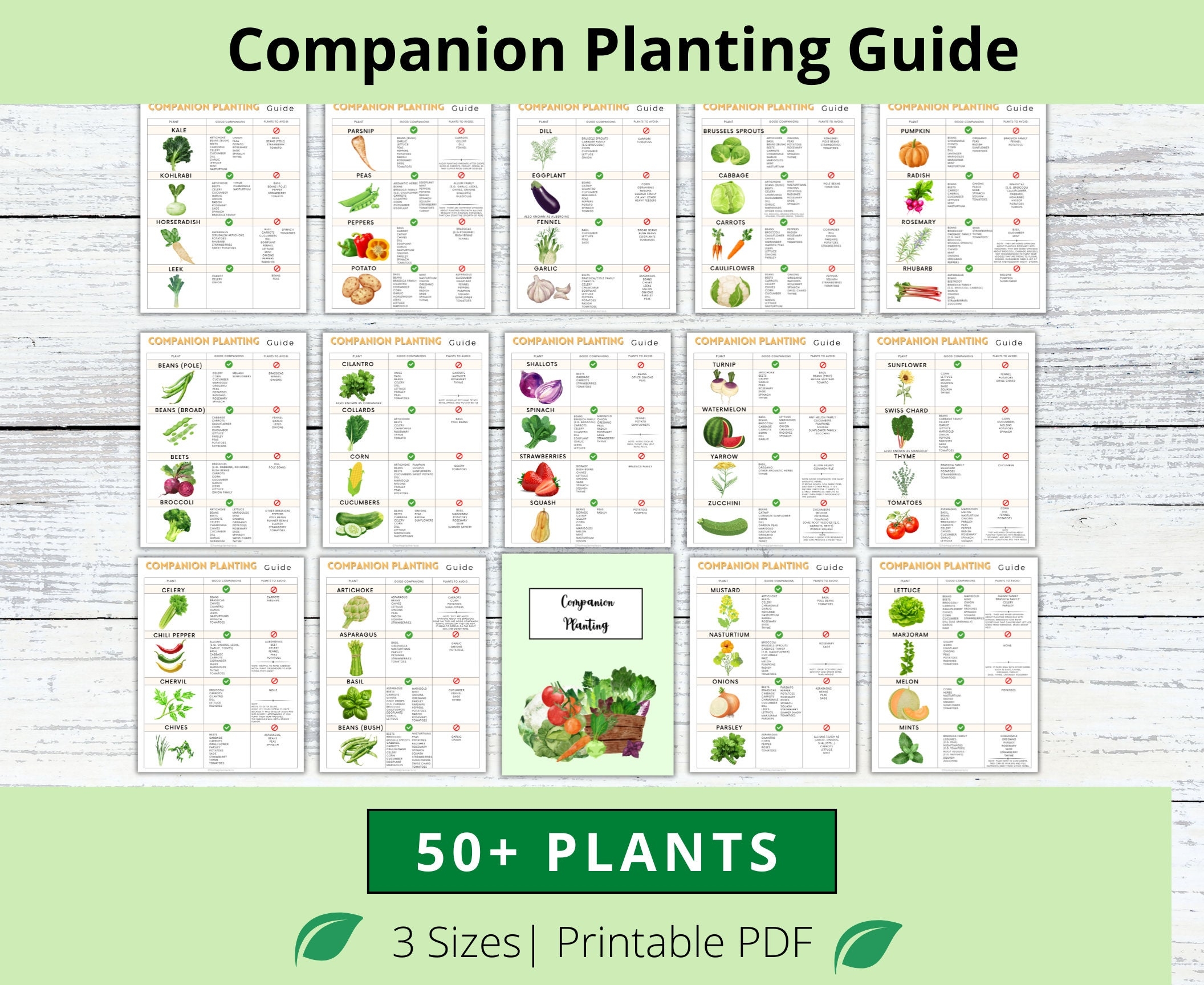 Companion Planting Guide Garden Organizer Plant Guide Plant Planner Planting Log Garden Planner Garden Planning Chart Garden Journal Etsy