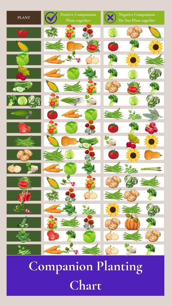 Companion Planting Made Easy Essential Chart Included 