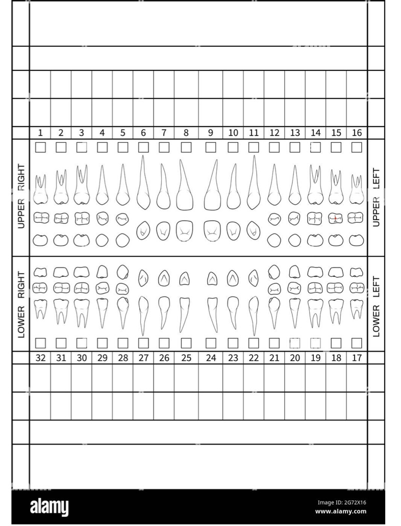 Dental Charting Universal chart Notability Gallery