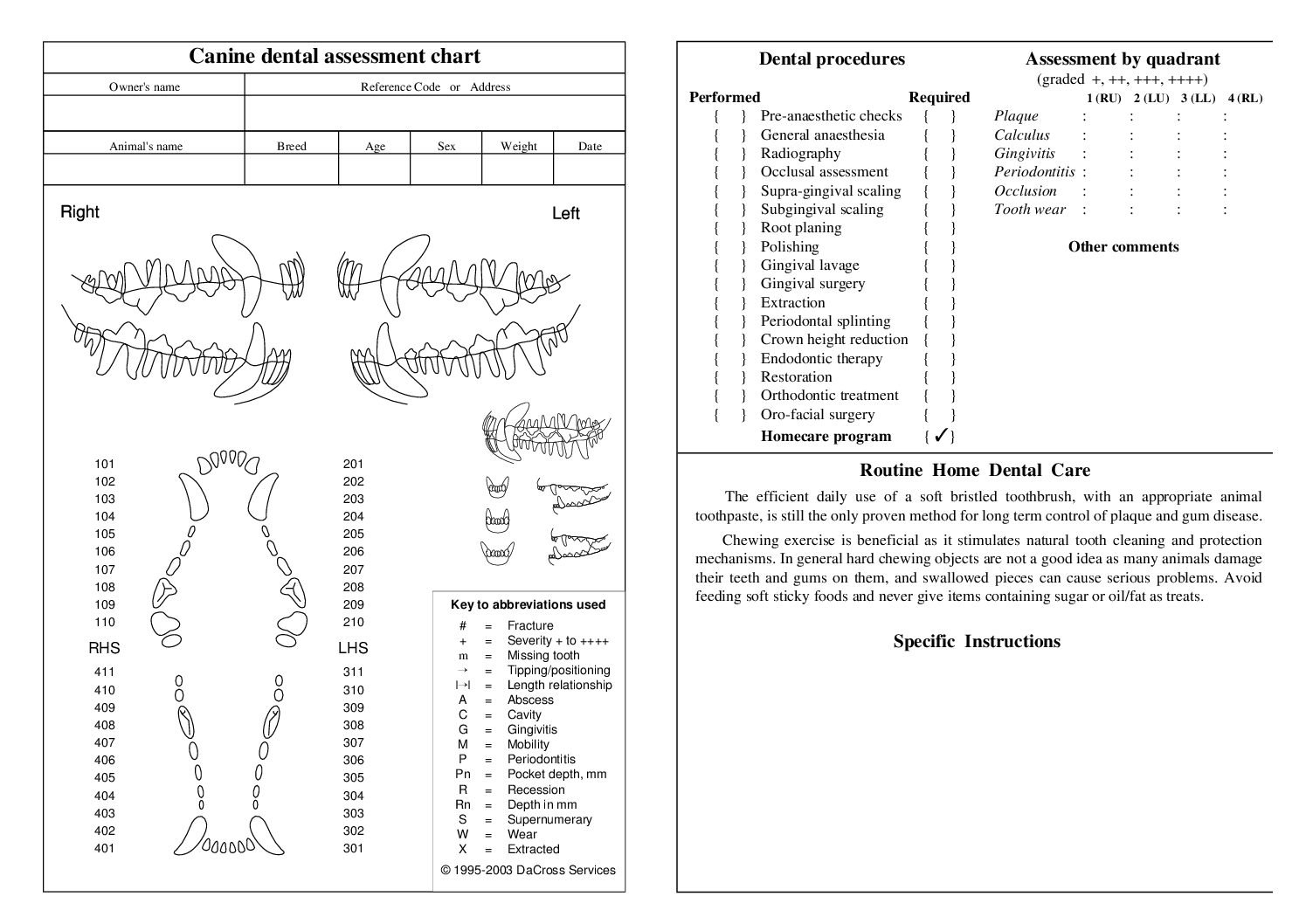 canine dental chart printable