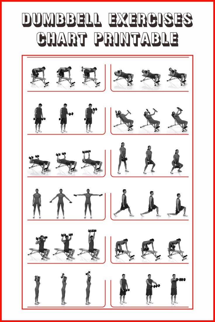 Dumbbell Exercises Chart 10 Free PDF Printables Printablee