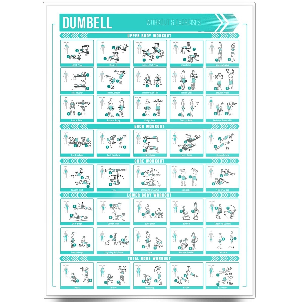 Dumbbell Workout Chart Poster Training Exercise Print Perfect To Build Muscle EBay Dumbbell Workout Chart Poster Training Exercise Print Perfect To Build Muscle EBay