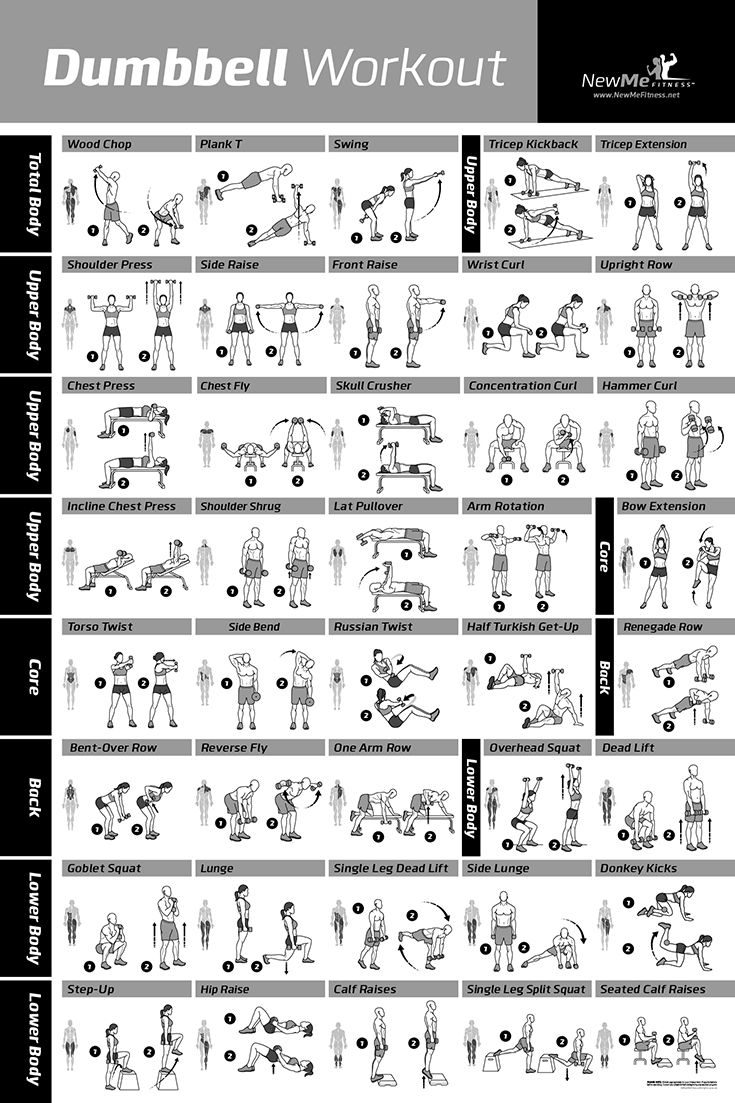 Dumbbell Workout Exercise Poster Laminated Strength Training Chart Build Muscle Tone Tighten Home Gym Weight Lifting Routine Body Building Guide