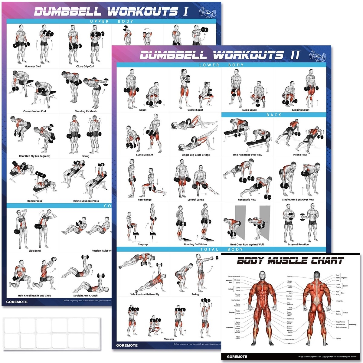 Dumbbell Workout Poster Set 2 Pack Workout Charts For Home Gym Volume I EBay