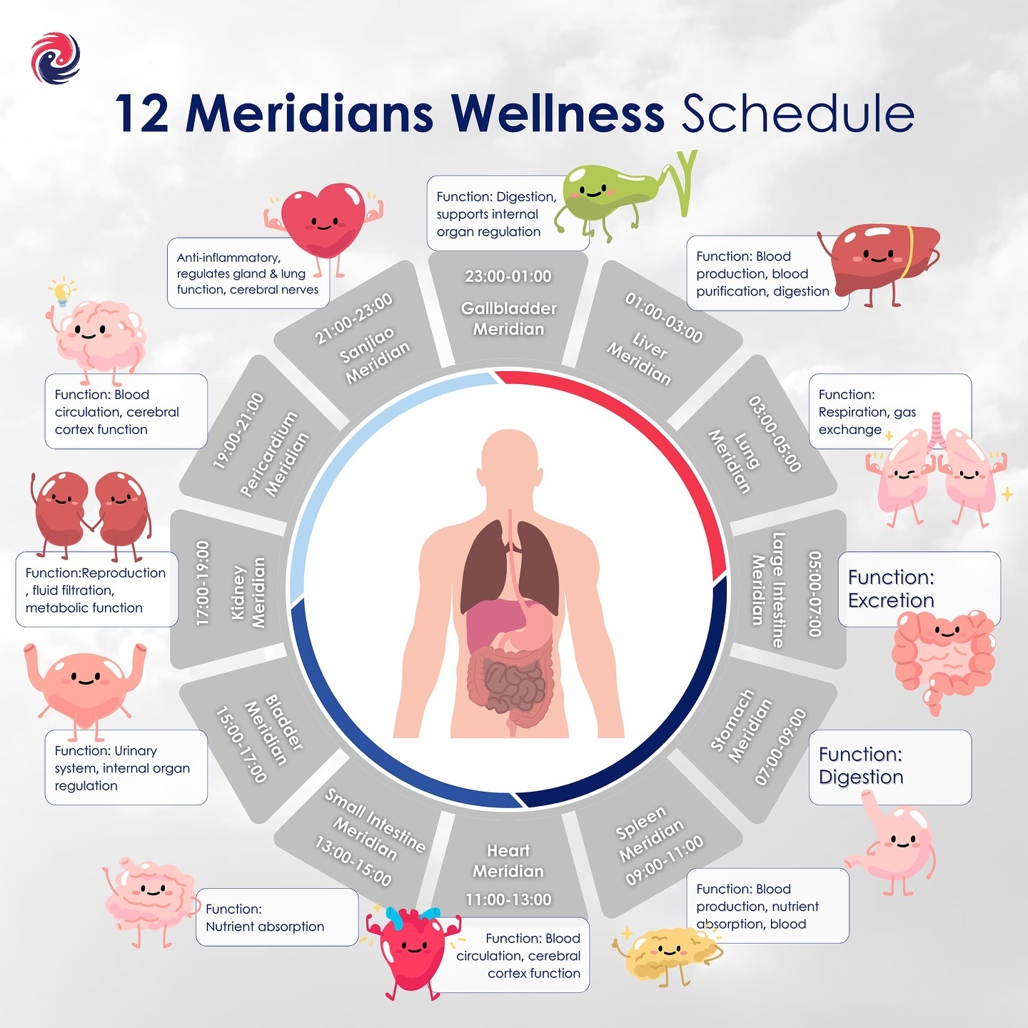 Exploring The 12 Meridians Of The Body A Guide To Your Body s Energy Pathways Sin Kang TCM