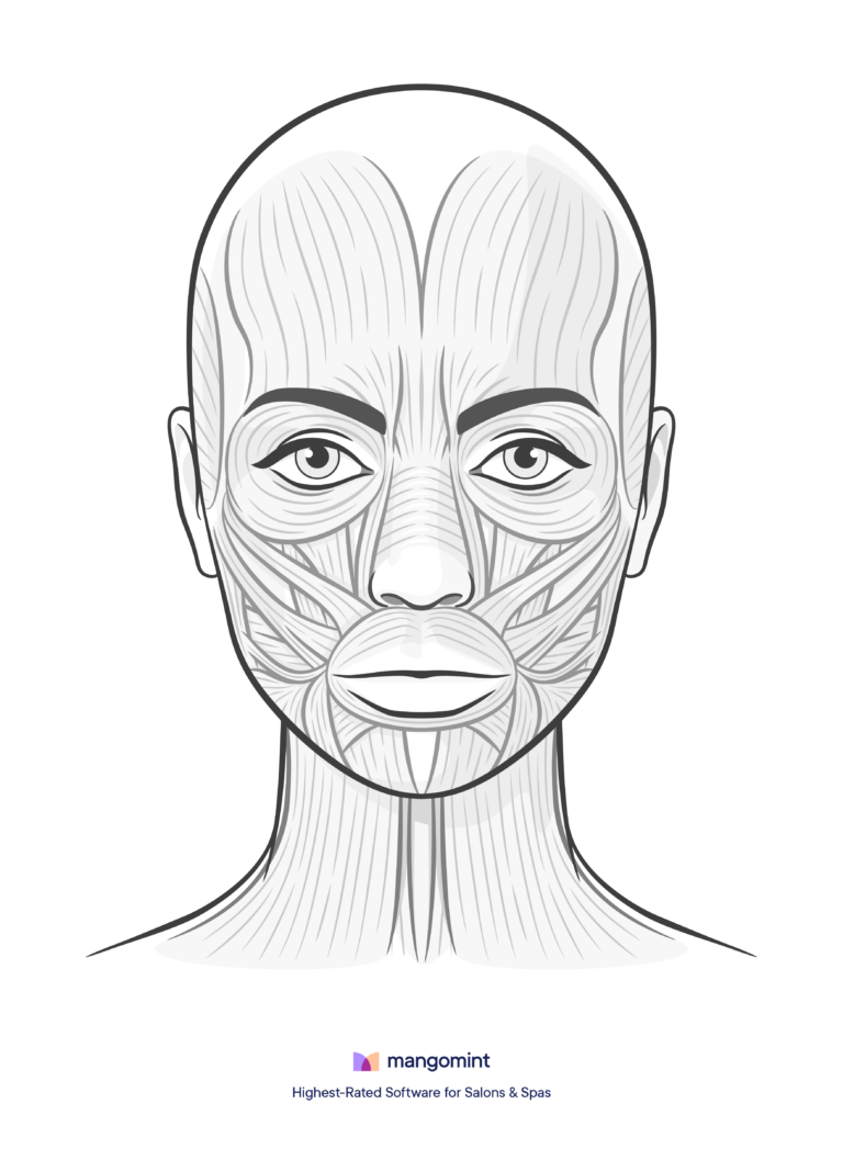 Face Charts Templates For Spas Salons And Tattoo Shops Mangomint Salon And Spa Software