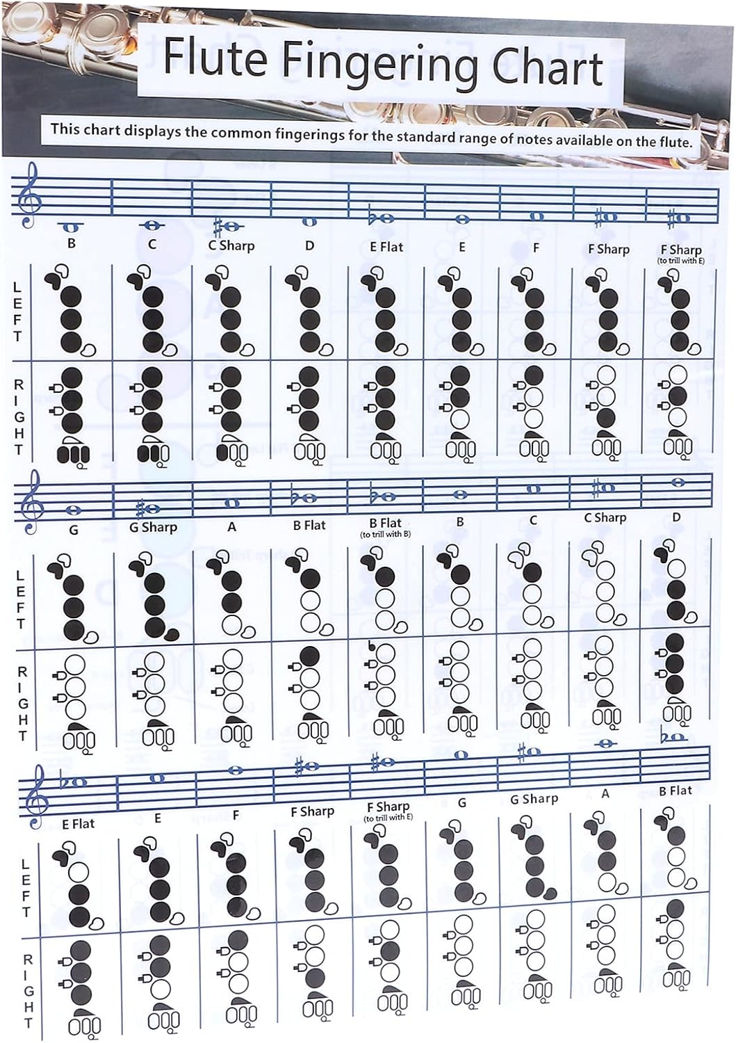 Flute Fingering Chart Full Size Large Print Beginner Friendly Small 28x21cm EBay