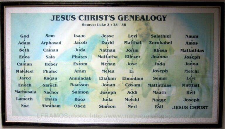 Jesus Family Tree Printable Printable Study Planner