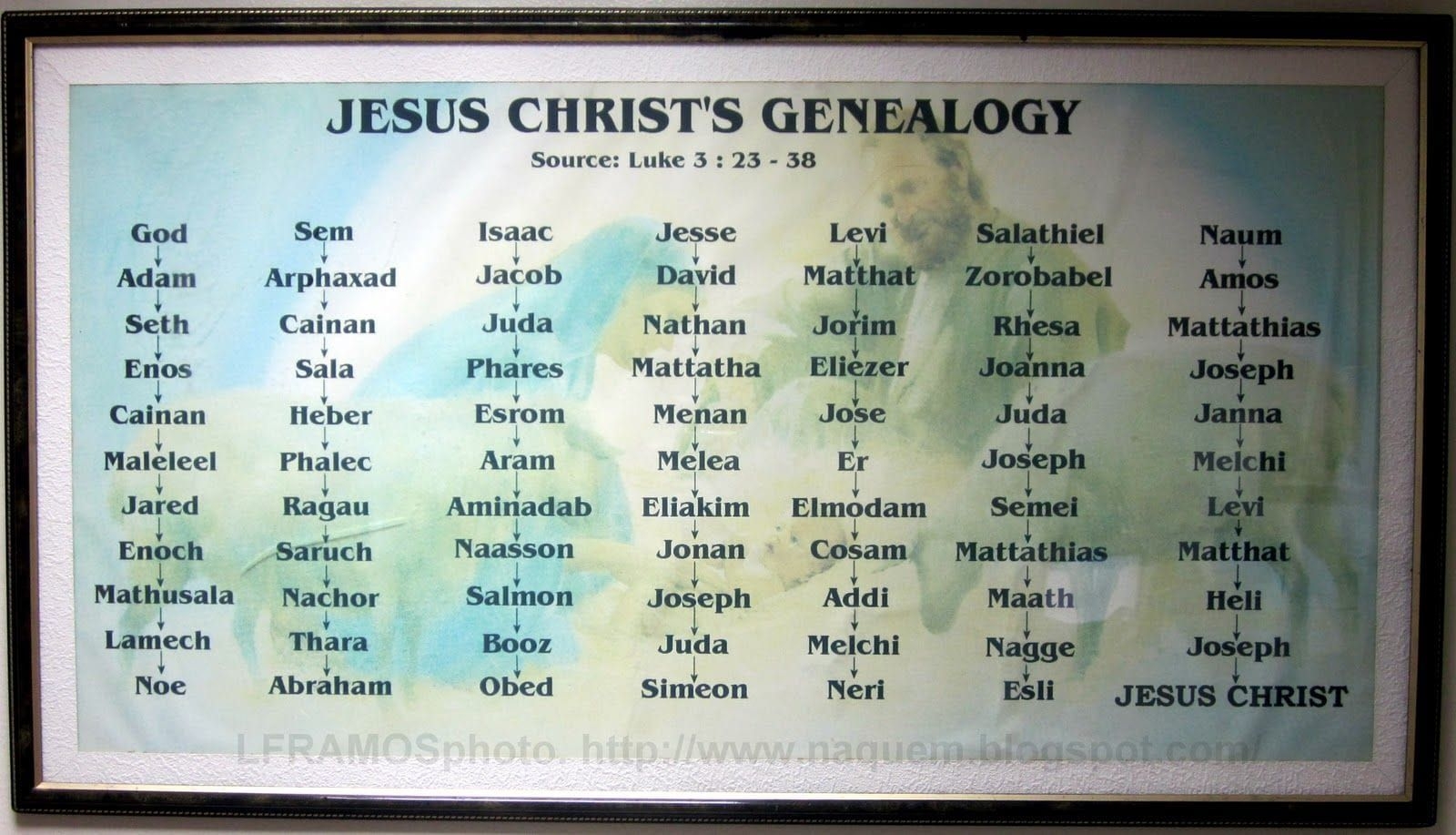Jesus Family Tree Printable Printable Study Planner