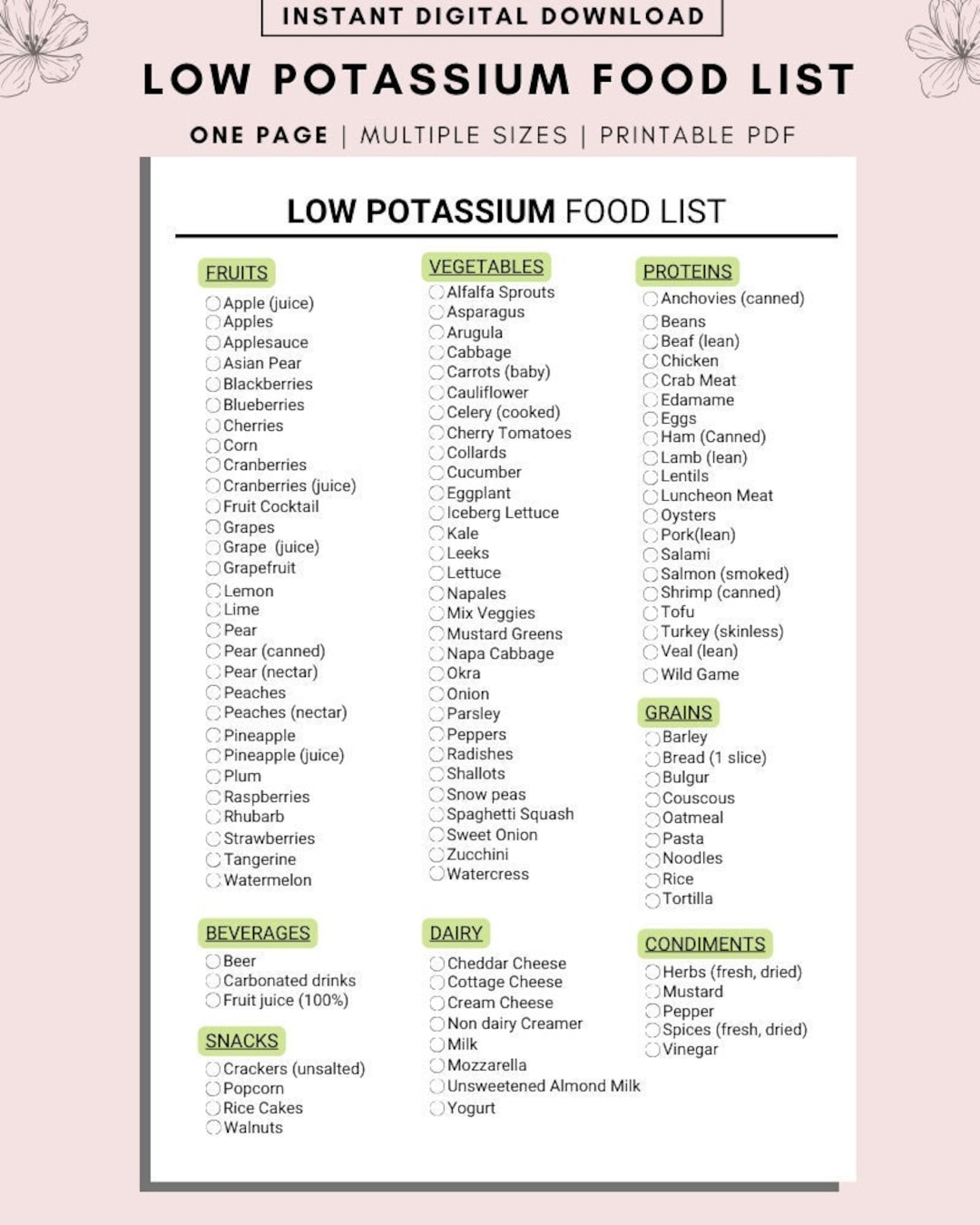 Low Potassium Food List Renal Diet Guide digital Download Etsy Singapore
