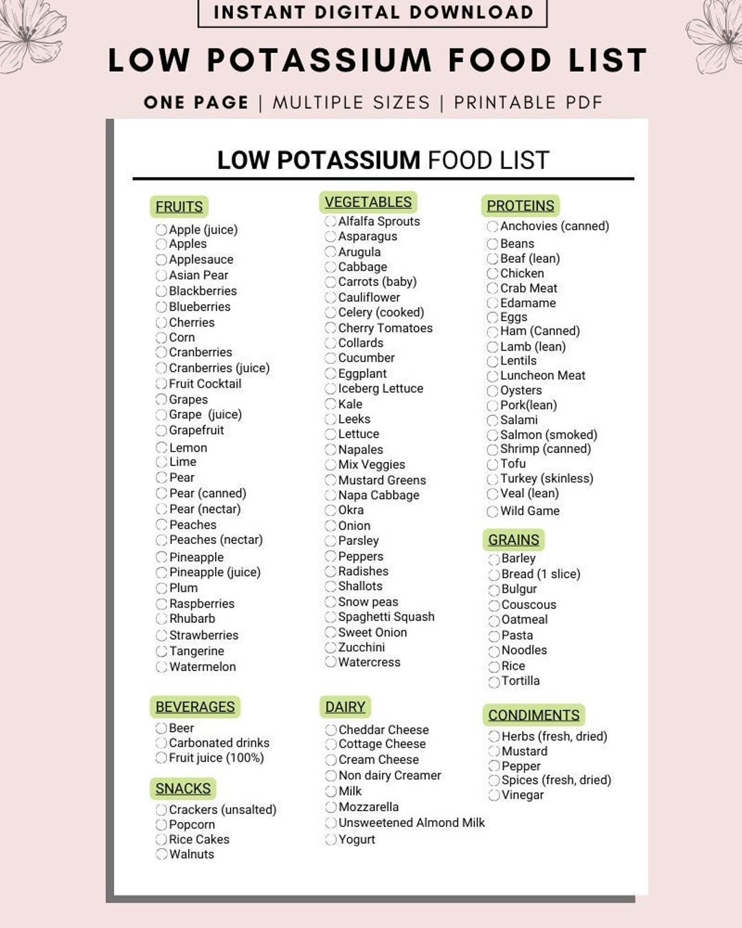 Low Potassium Food List Renal Diet Guide digital Download Etsy Singapore