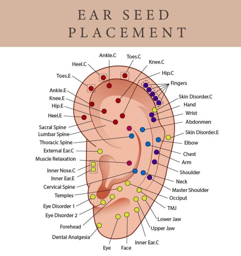 Printable Ear Seed Placement Chart Comprehensive Acupuncture Ear Chart Guide Ear Seeding Chart Helps Place Ear Seeds Cheat Sheet Etsy Israel