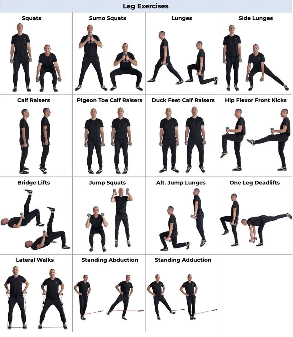 Printable Free Multi Gym Exercises Chart Total Gym 24 X 36 Convenient Quick Reference Exercise Chart
