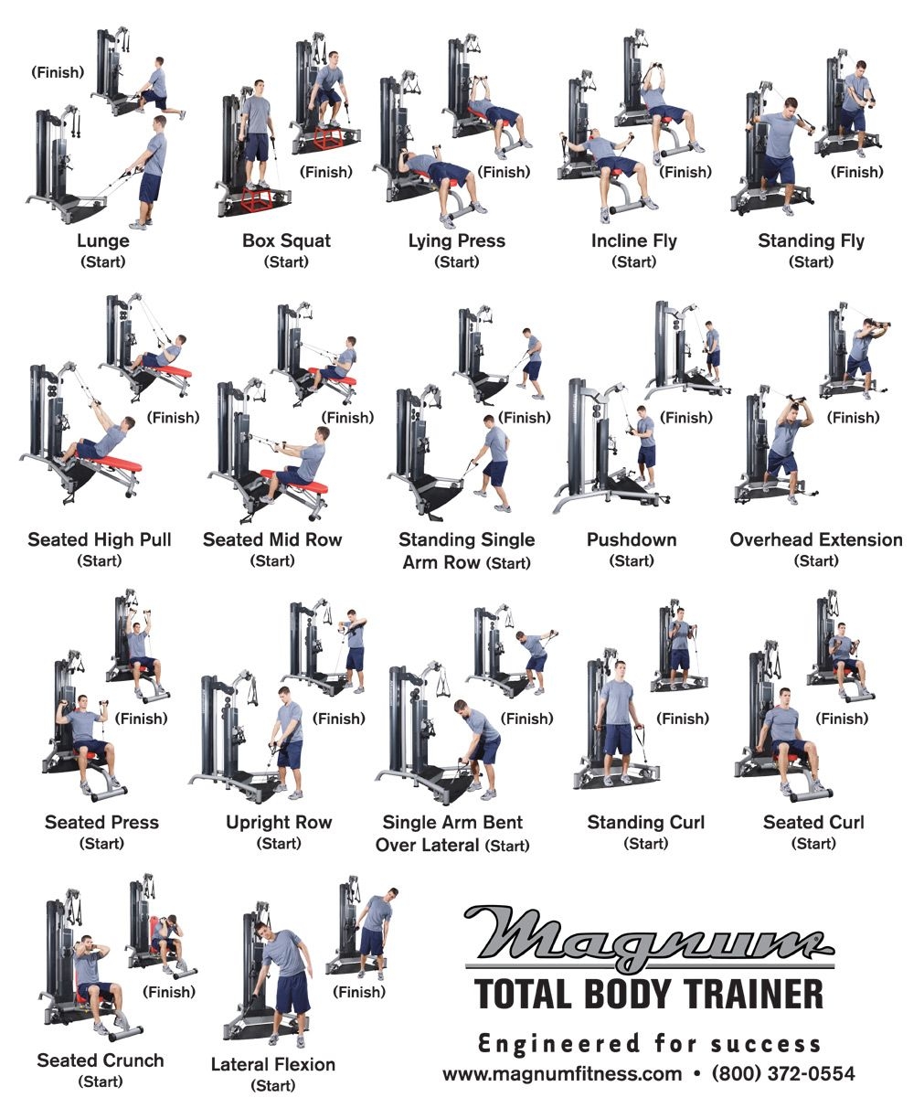 Printable Home Gym Exercise Chart Home Gym Multi Station Gym Workout Routine HOT Marcy Home Gym