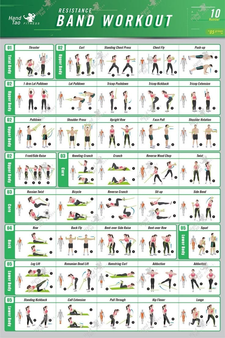 beginner free printable resistance band exercise chart pdf