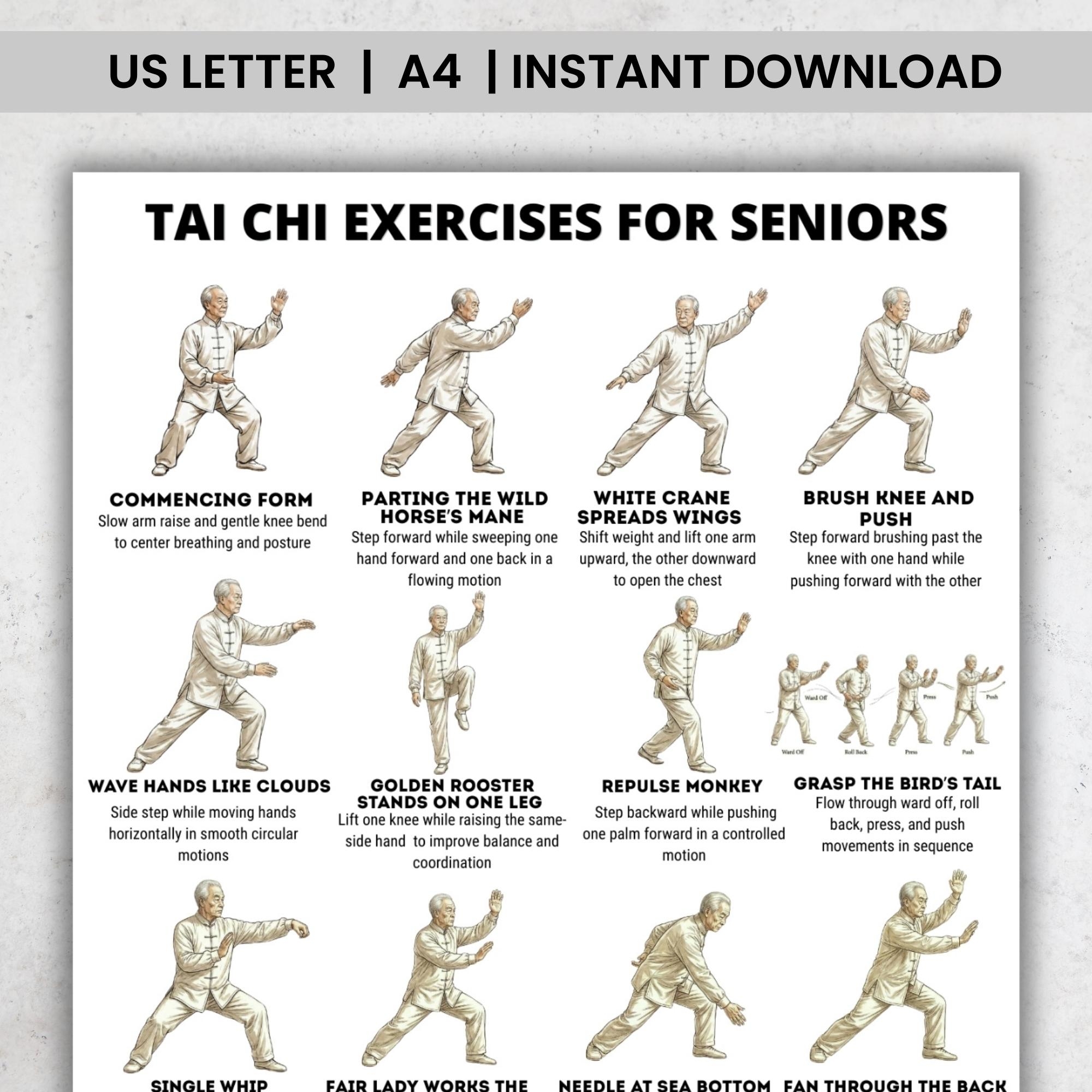 Tai Chi Exercises For Seniors Printable Poster PDF Gentle Balance Workout Chart Home Practice Training Guide Etsy