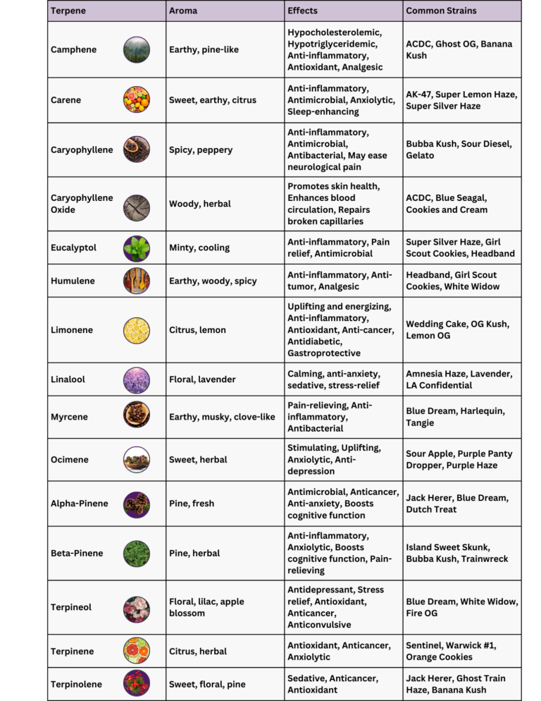 The Ultimate Marijuana Terpene Chart 15 Popular Terpenes And Their Effects