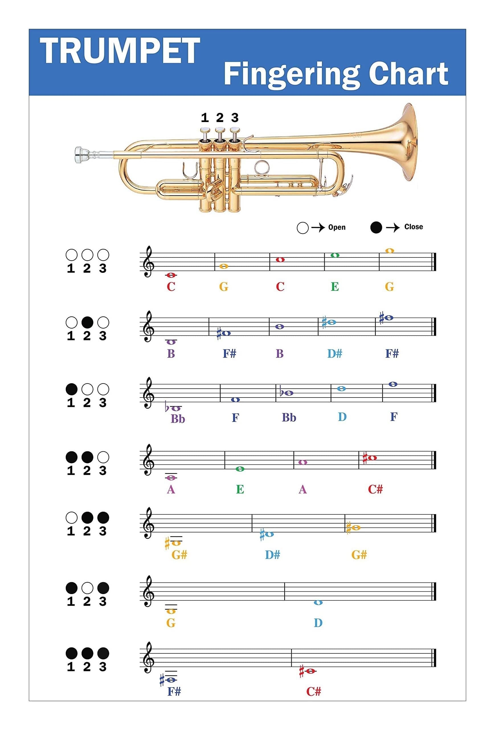 Trumpet Fingering Chart With Color Coded Notes Poster Learn Trumpet Technique Suitable For All Levels Walmart