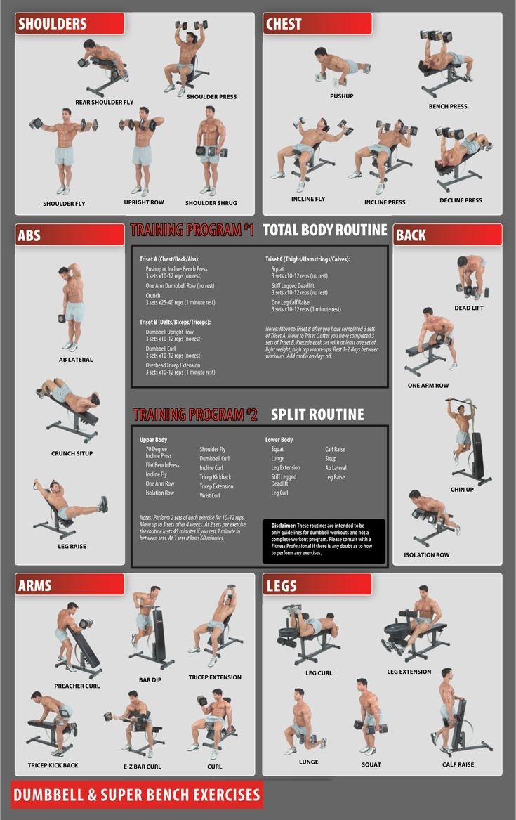 Workout Charts Exercises 10 Free PDF Printables Printablee